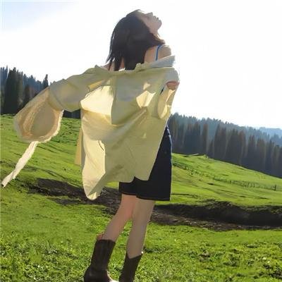 游击队员强尼